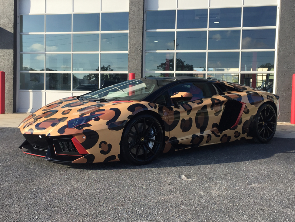Vehicle Wraps